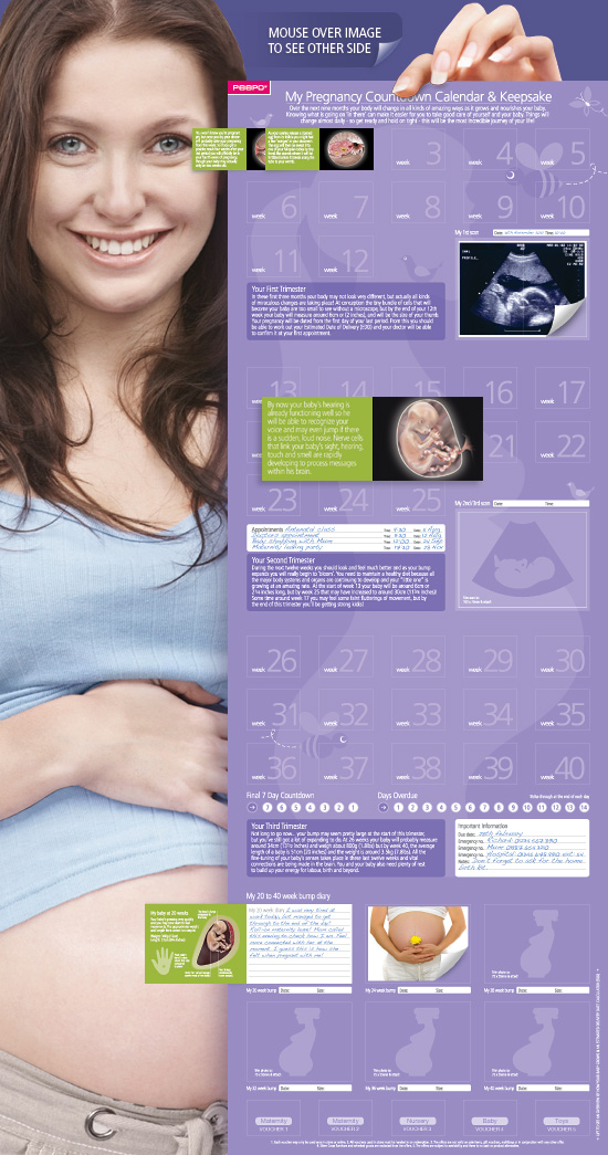 Advent Calendar Style Pregnancy Countdown Calendar & Keepsake